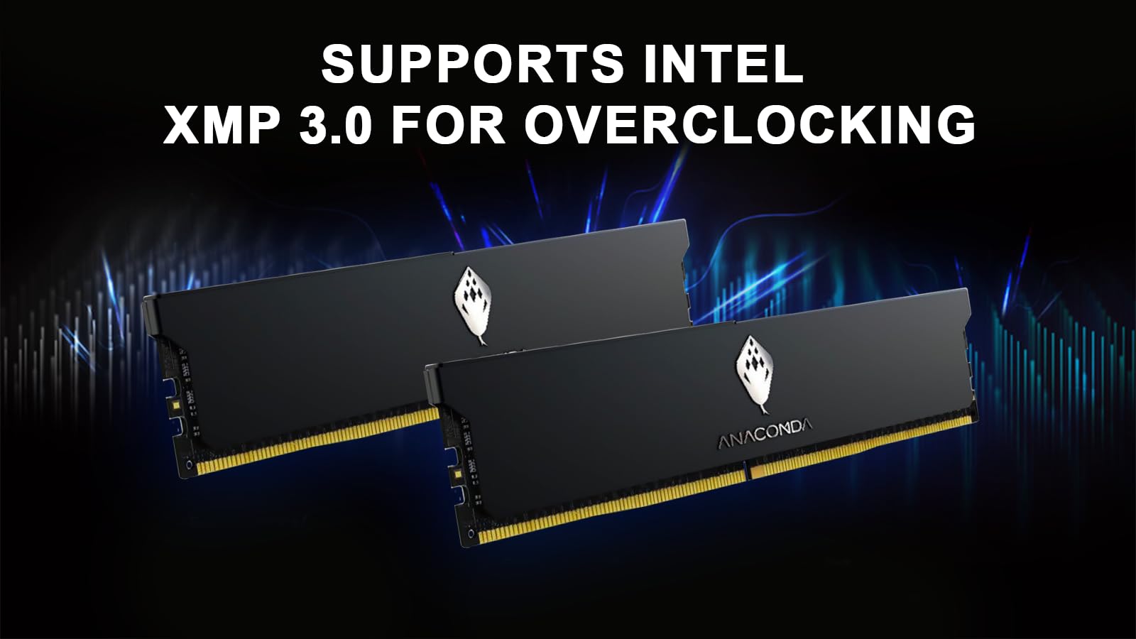 Kingsnake ANACOMDA DDR5 RAM 32GB (2 x 16GB) 6000MHz CL38 288-Pin